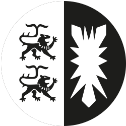 team flensburg